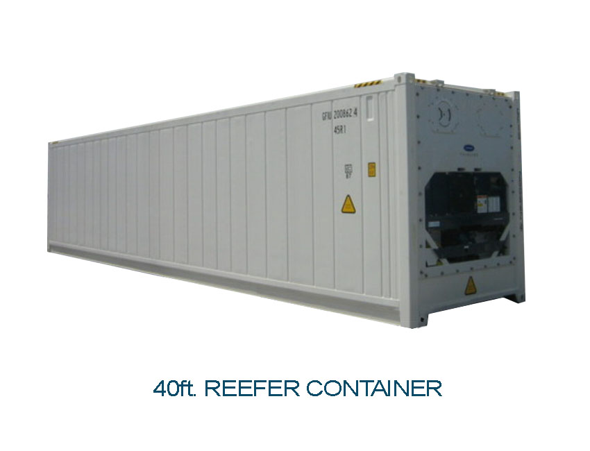40 ft reefer container